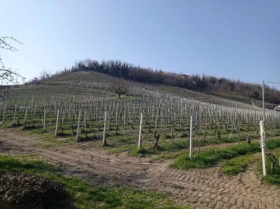 Drocco Luigi Az. Agricola
