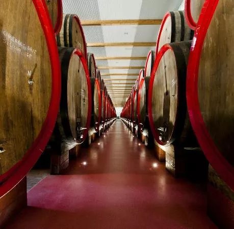 Gavioli Antica Cantina