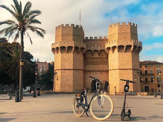 Viking Rides