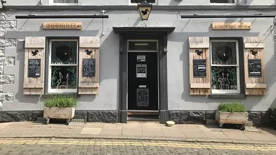 Squirrel - A Store of Buried Treasure