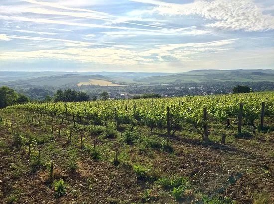 Domaine Madelin-Petit