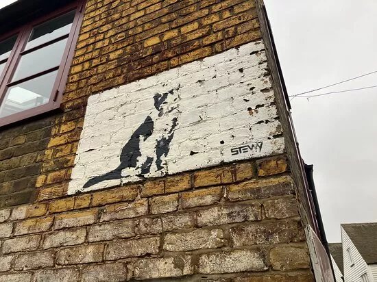 Catman Artist