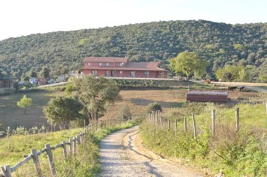 La Fonte del Tiburzi