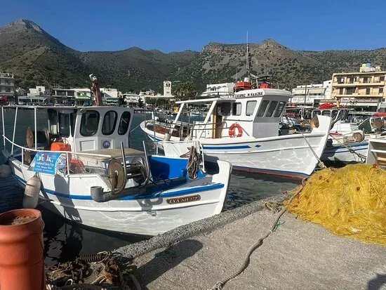 Eva Traditional Fishing Trips