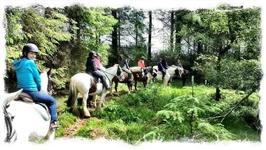 Coolmine Equestrian Centre