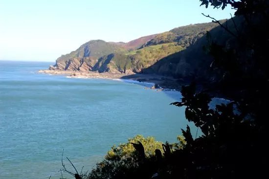 Woody Bay