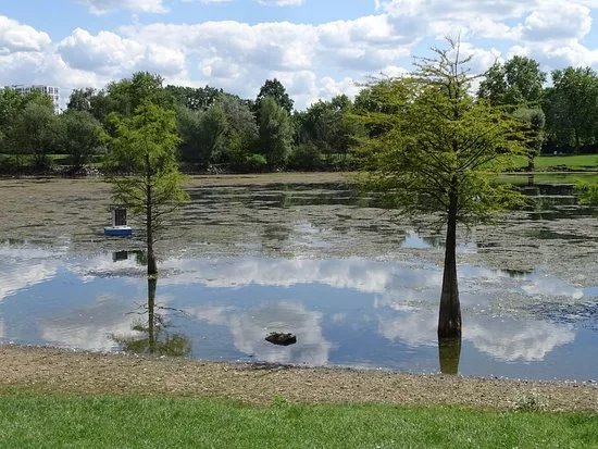 Rebstockpark