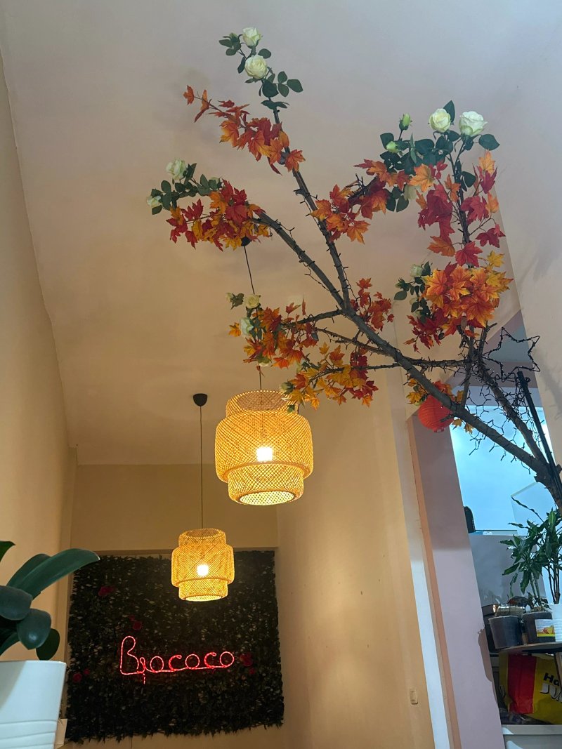 Bio Coco