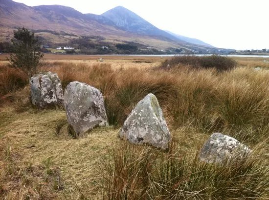 Eanach Marsh - Choill an Daingain -The Wood of the Fortress