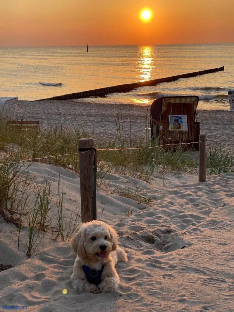 Residenz Lausitz - Apartments Fur Urlaub Mit Hund
