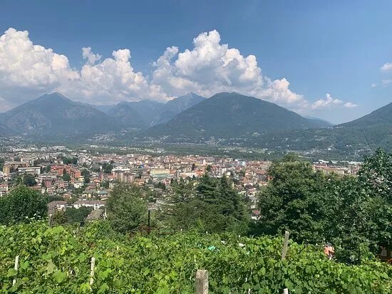 Azienda Vitivinicola Edoardo Patrone