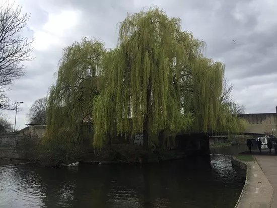 Mile End Park