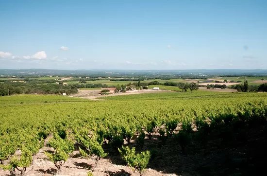 Domaine La Gontarde