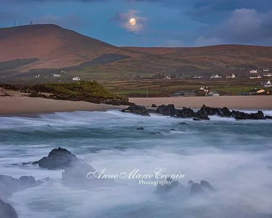 Anne Marie Cronin Photography