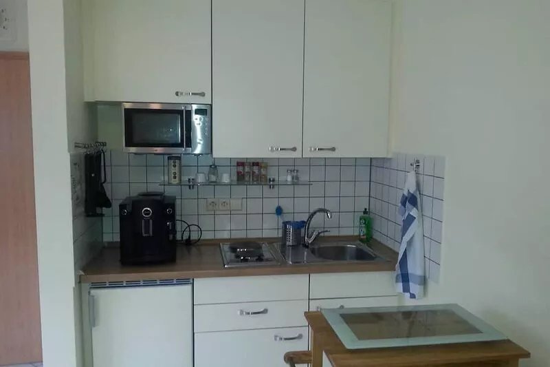 Robbie - Holiday apartment Opfingen am Tuniberg