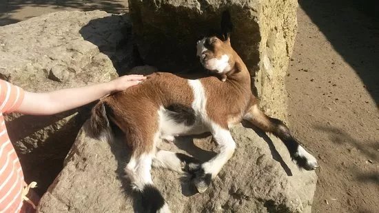 Tierpark