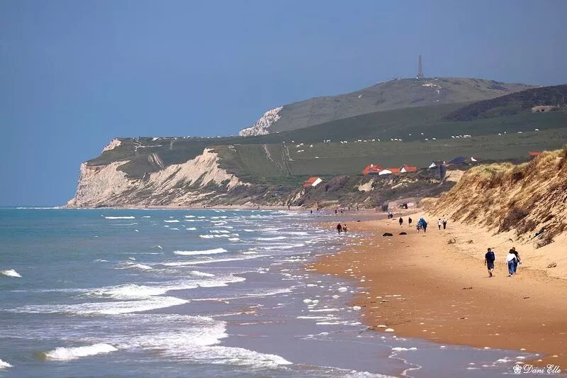 Le Saint-Saëns, beautiful *** apartment with garden, near center and sea