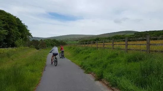 Devon Cycle Hire