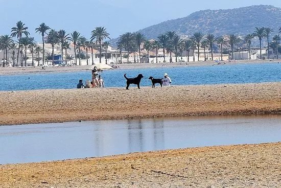 Playa de Las Moreras