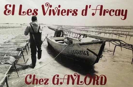 Les Viviers d'Arcay: Visites Ostreicoles