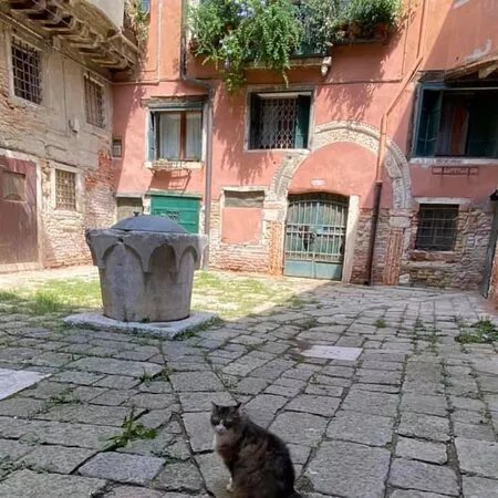 La corte Sconta detta Arcana di Corto Maltese