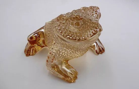 Grenouilles du Monde (Frogs of the world)