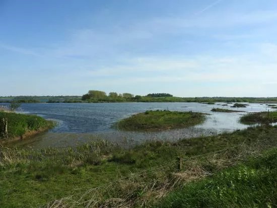 Rutland Water Nature Reserve (Anglian Water Bird Watching Centre)