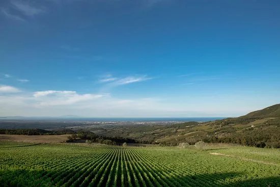 Tenuta Prima Pietra