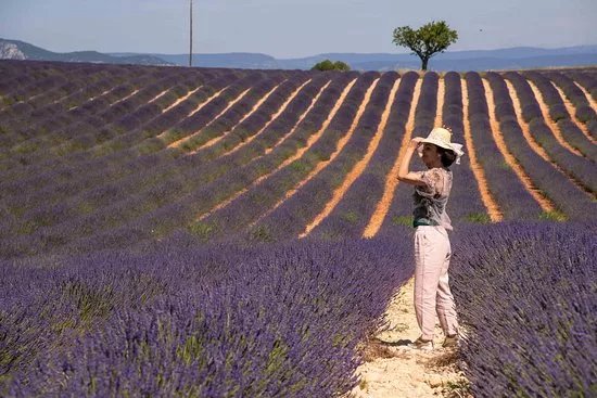 NA PROVENCE