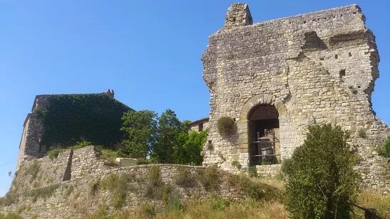Tuscany Wine Tours by Giulio Bartolini