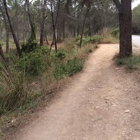 Parc del Mil.lenni