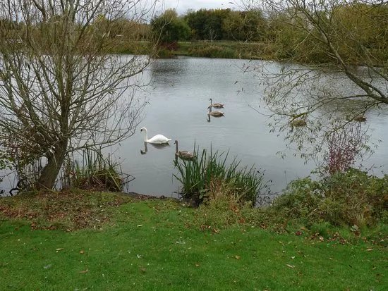 Lodge Lake