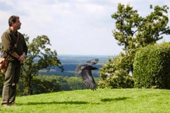 Adlerwarte Kreuzenstein