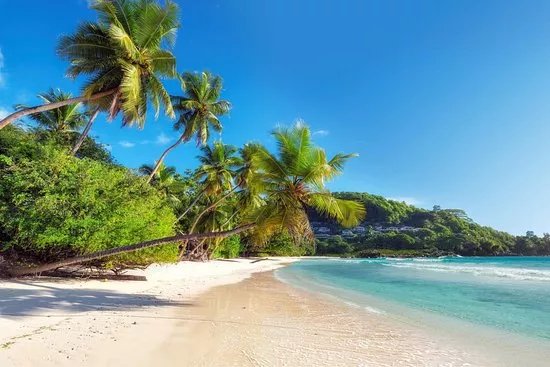 Free Spirit Travel Agency