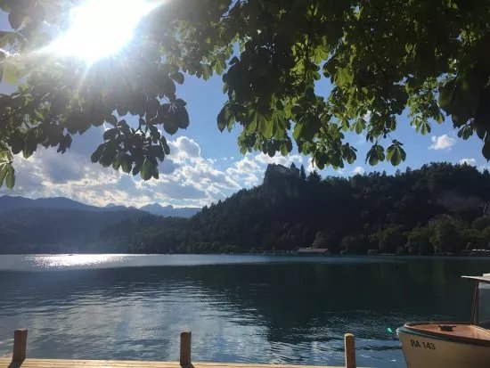 Free tour Bled by Niko Guiding