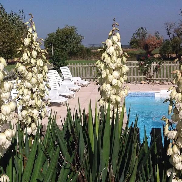 Le Poirier- Beautiful 3 bedroom Gite with on-site Swimming Pool and Gardens