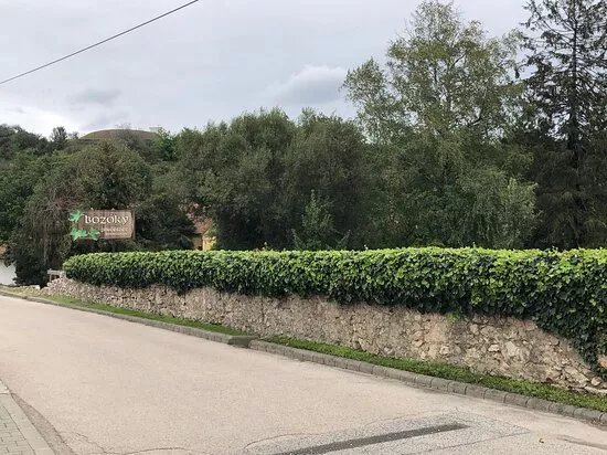 Bozoky Winery