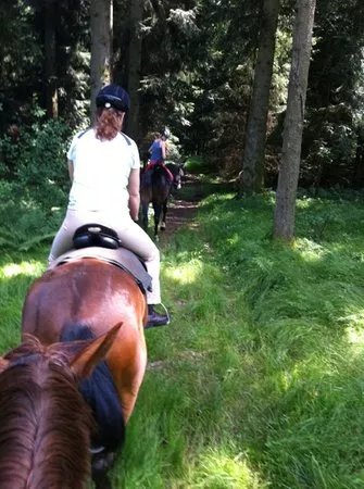 Reitschule Mosl