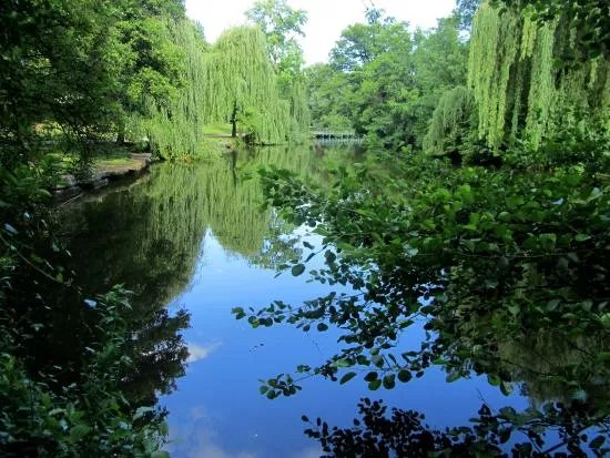 Pfuhlpark