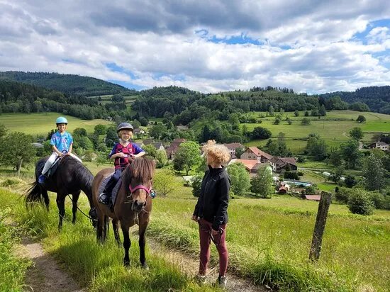 Tolt'in Vosges & Alsace