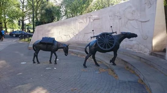 Animals in War Memorial