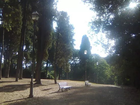 Parco degli Scipioni