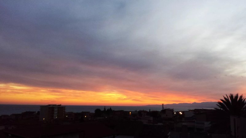 Zagara