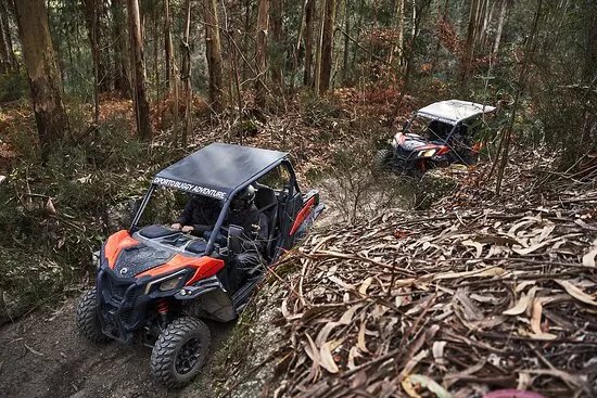 Oporto Buggy Adventure