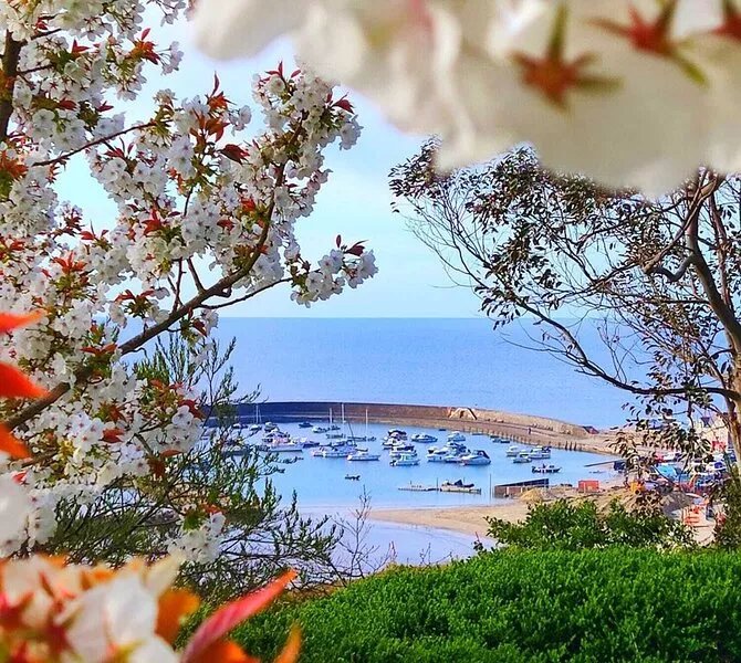Seabreeze- modern two bedroom house, parking, large garden, close to seafront
