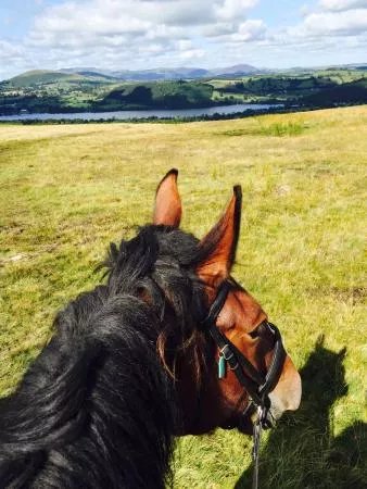 Pony Trekking Ullswater