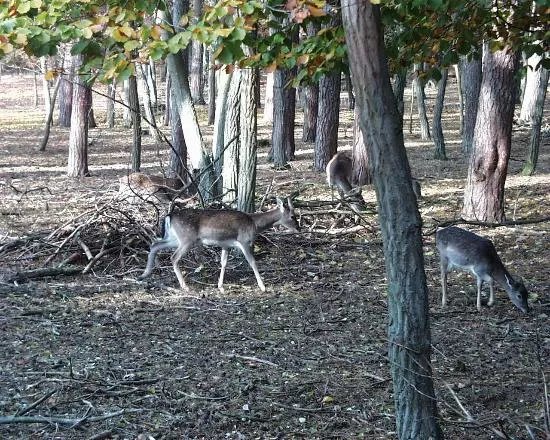 Tierpark Ueckermunde