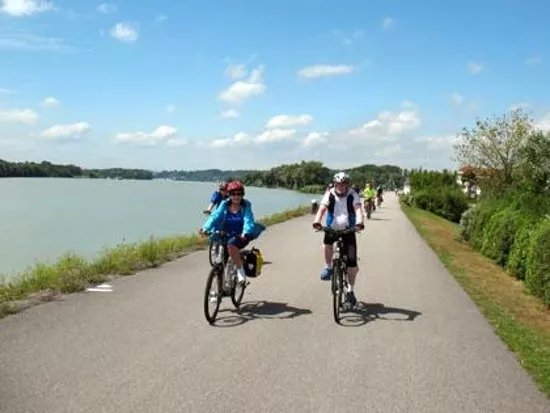 Mercurio Bike Travel