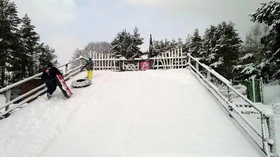 Aviemore School of Snow Sports