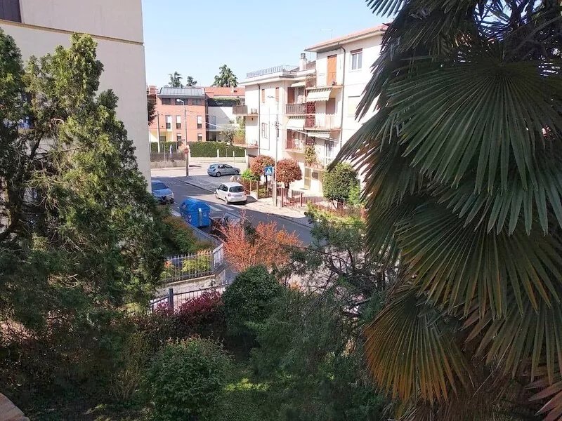 Bright, comfortable apartment near the historic center